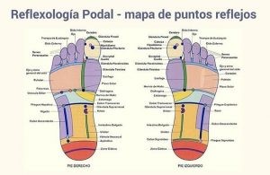 imagen_reflexologia_podal-300x195reflexologia podal